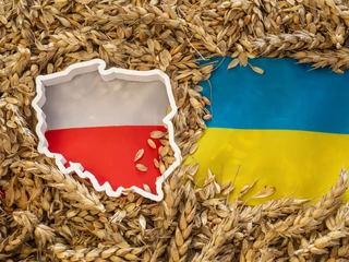 Kernel to największy producent zbóż i nasion oleistych w Ukrainie, którego ubiegłoroczne przychody oscylowały na poziomie ok. 3,2 mld zł.
