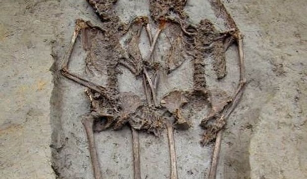 184643_amantimodena1500anni