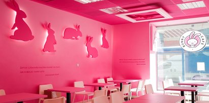 Bunny Cafe. Pierwsza królicza kawiarnia w Krakowie