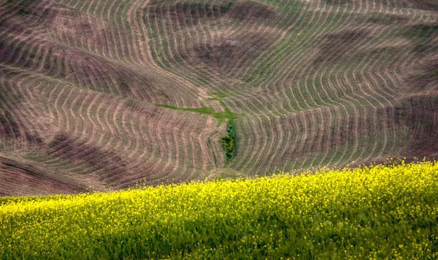 Galeria Włochy - La Bella Toscana, obrazek 3