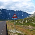 Norwegia pokazuje potęgę natury. Niezwykły kraj fiordów otoczonych wysokimi górami i lodowcami [GALERIA]