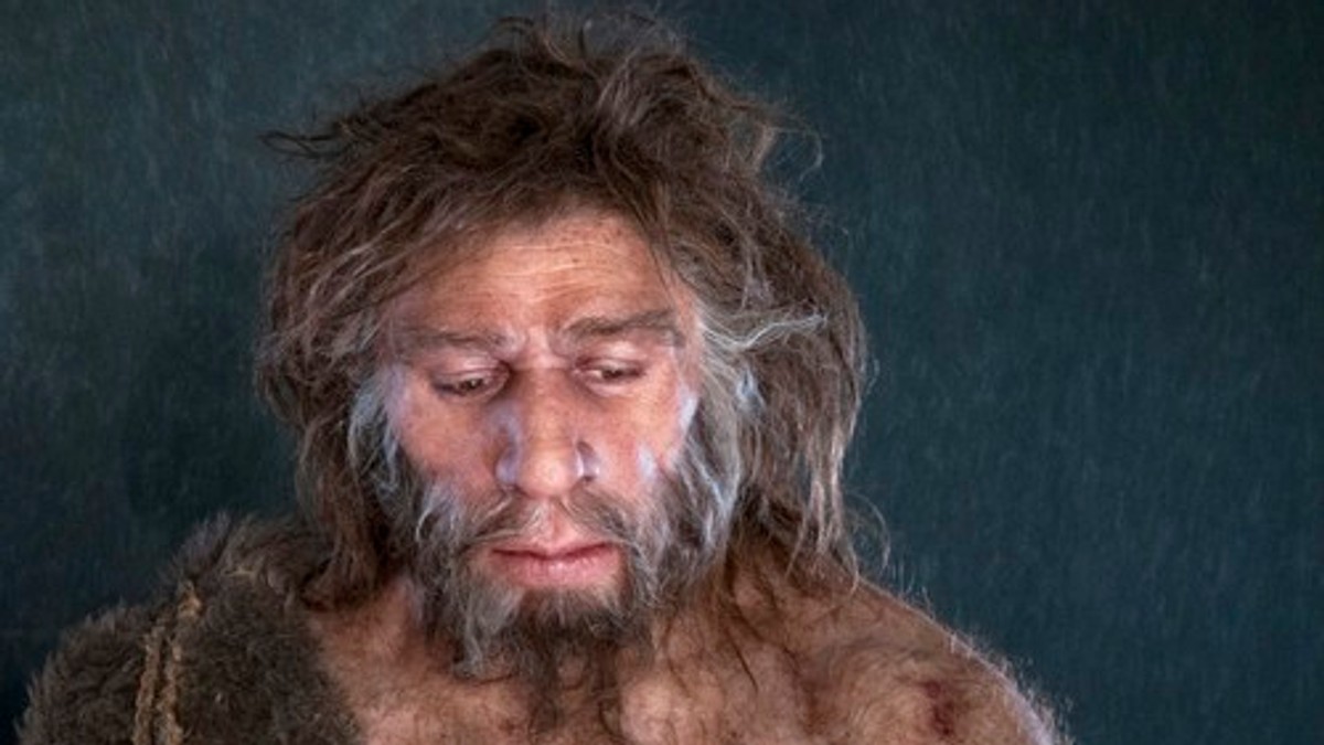 Neandertalac, ilustracija