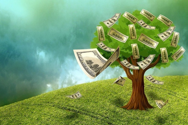Drzewo pieniędzy
