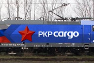 pkp cargo