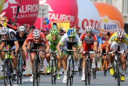 tour de pologne, kolarstwo, kolarz