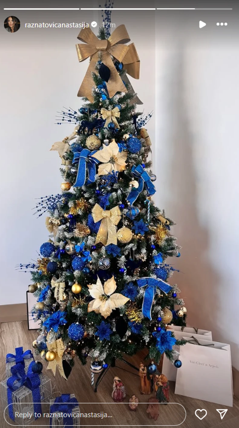 Anastasija Ražnatović pokazala jelku