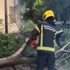 Vatrogasci u Novom Sadu