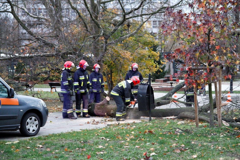 Uważajcie na wiatr. Wydano ostrzeżenie