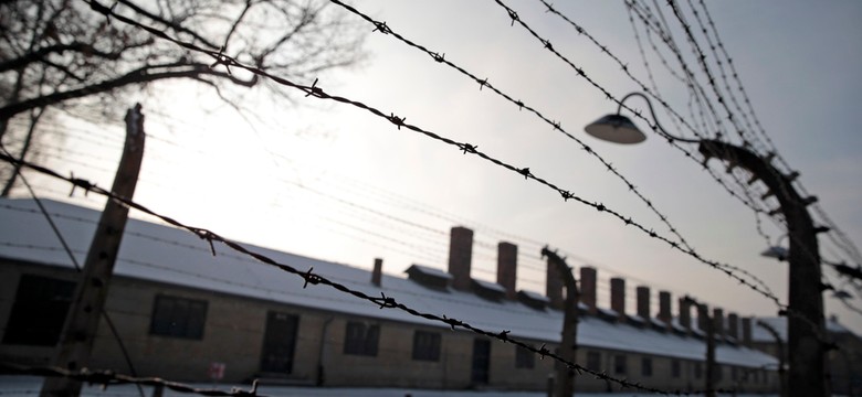 Uroczystości 69. rocznicy wyzwolenia Auschwitz. Jariw Lewin: Auschwitz to tragedia bez precedensu