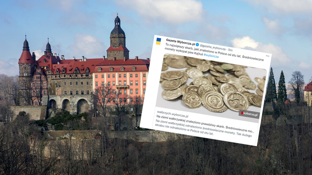 Pies Kajtuś wykopał dzbanek z monetami. To największy skarb w Polsce od 100 lat