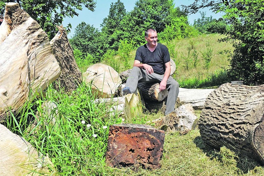 Više mu, priča, o njegovom umetničkom opusu znači mišljenje pokojne babe nego kritičara