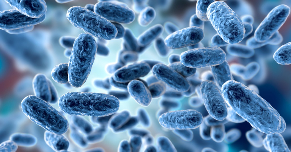 Česká republika.  Rekordní nárůst případů černého kašle