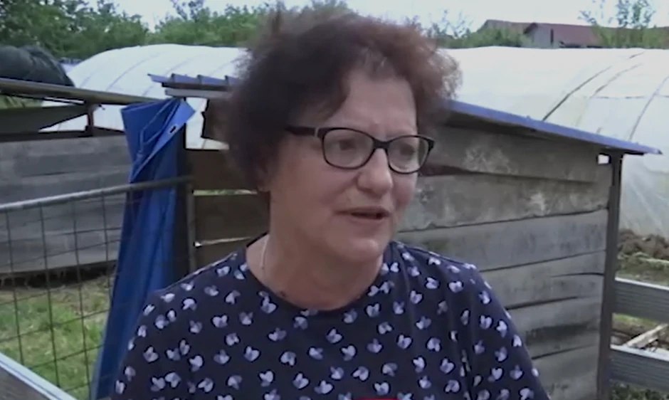 Porodica Miladinović
