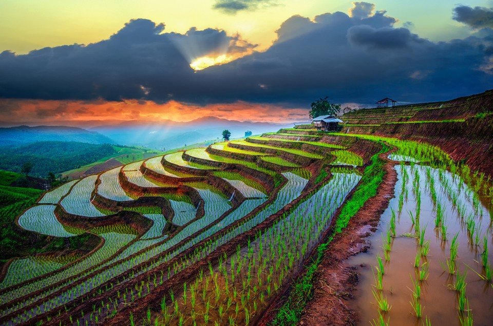 Chiang Mai