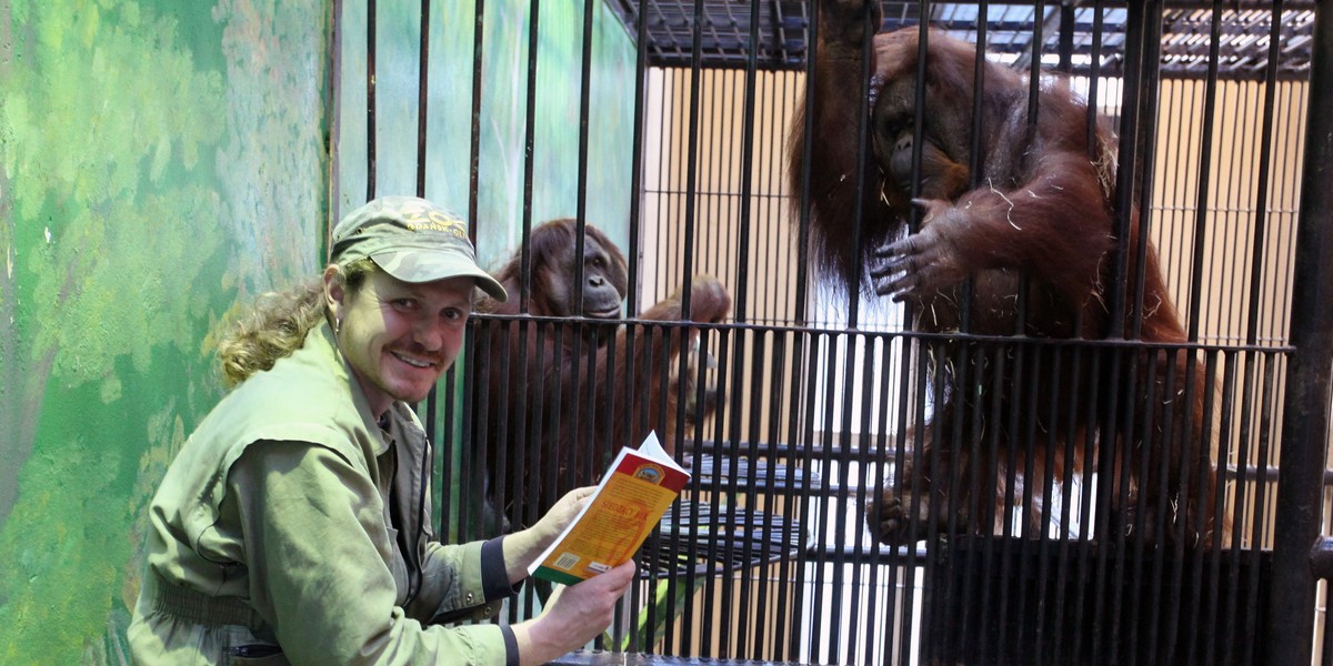 Opiekun z Zoo w Gdańsku czyta książki małpom.