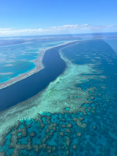 Rafa koralowa w Whitsundays