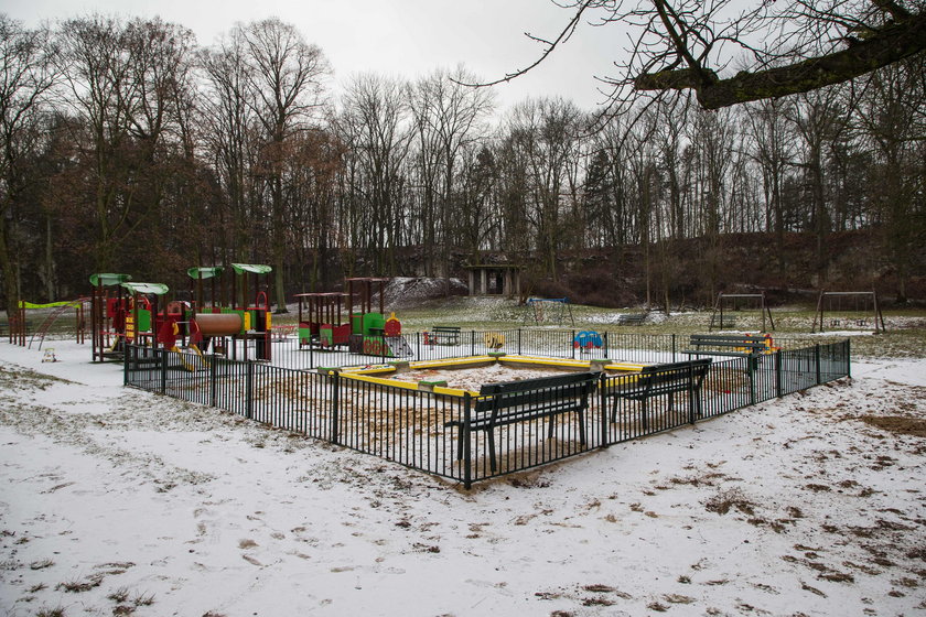 Park Bednarskiego wypięknieje