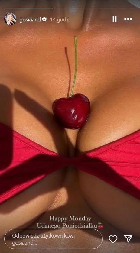 Zdjęcie na Instastories Gosi Andrzejewicz pochodzące z profilu Elin Warn