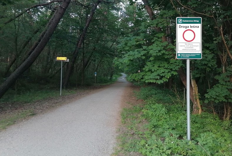 Krynica Morska oraz jej okolice. Ścieżki i trasy rowerowe