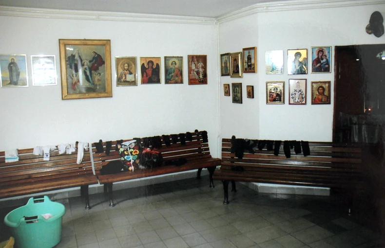 Kuća Zorana Marjanovića u Borči