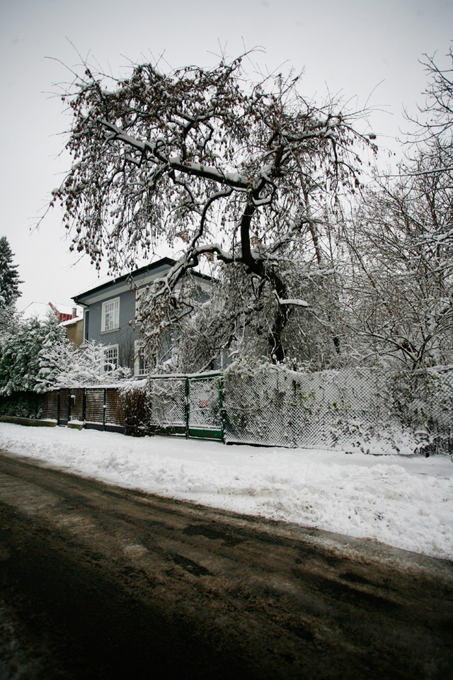 Zima w Krakowie, fot. M. Stankiewicz