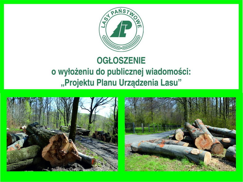 Plan urządzania lasu w latach 2023-2032 - konsultacje