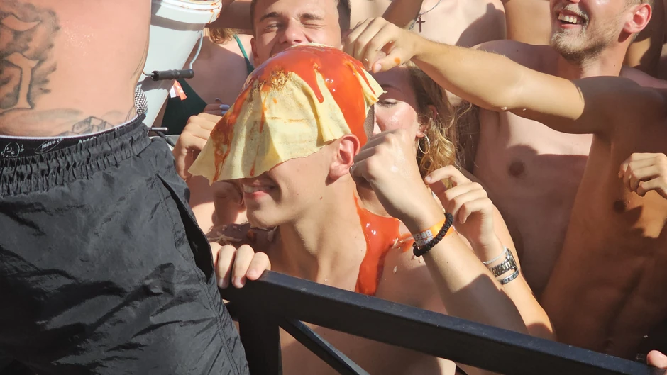 Desingerica - nastup