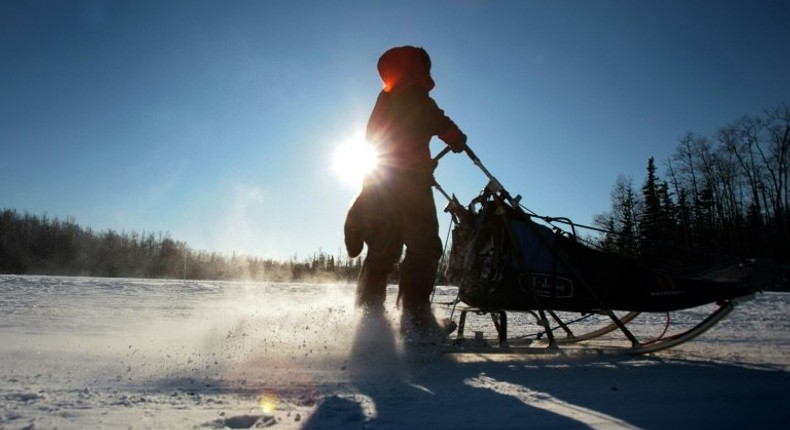 The Arctic is warming at twice the rate as the rest of the planet, and Alaska has seen three consecutive years of record high temperatures, scientists note