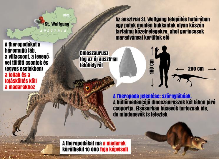 Hasonló külsejűek lehettek egyes élőlények, melyek maradványait megtalálták /Grafika: Séra Tamás