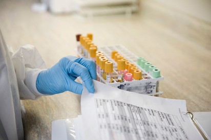 Mit jelent a fehérje (protein) érték a laborleleten?