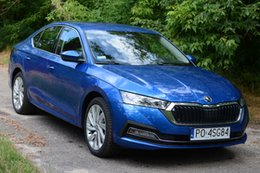 Skoda Octavia iV – to nie jest auto tylko do miasta