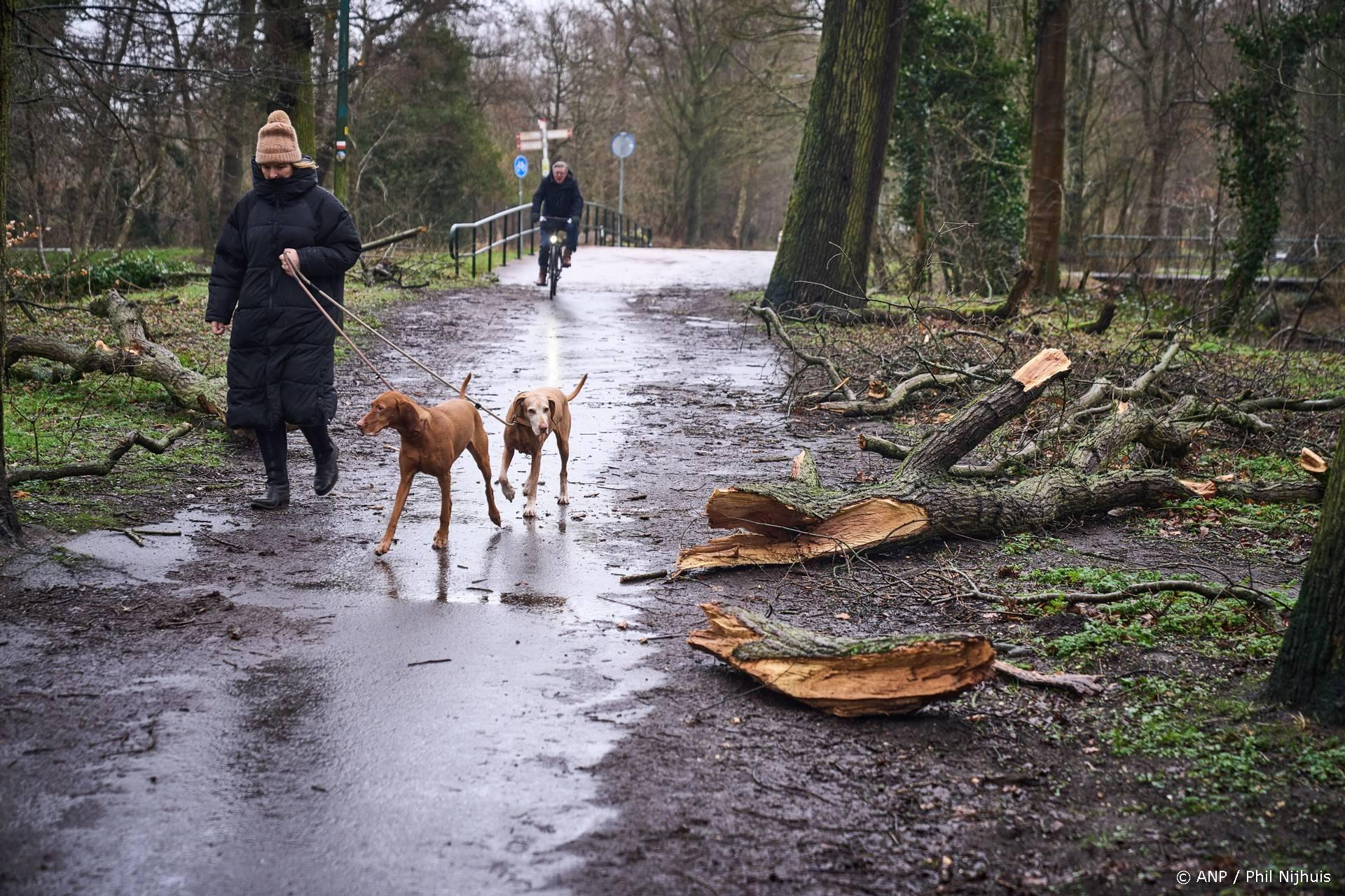 Storm Amy slaat toe - KNMI waarschuwt voor windstoten tot 100 km/h
