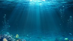 gdy prostota przestaje pomagać: bakterie, które przegrały z własną ewo