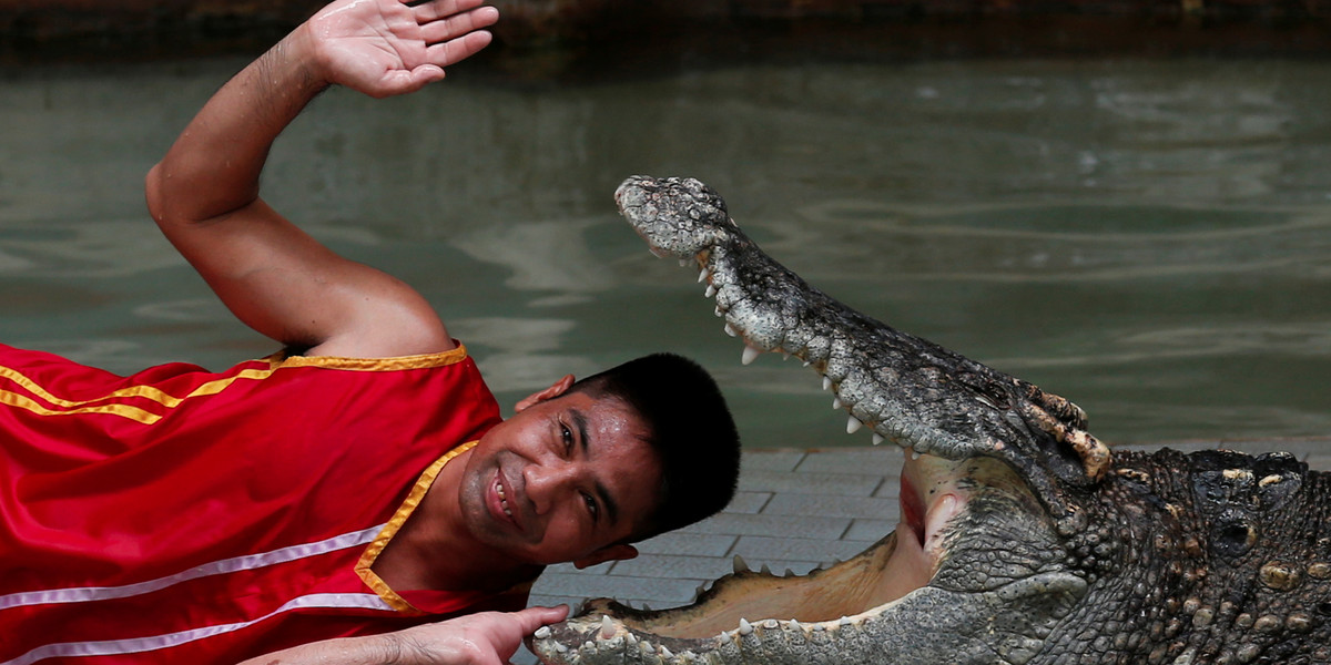 A zoo performer smiles as he puts his head between the jaws of a crocodile during a performance for tourists at the Sriracha Tiger Zoo, in Chonburi province, east of Bangkok,Thailand.