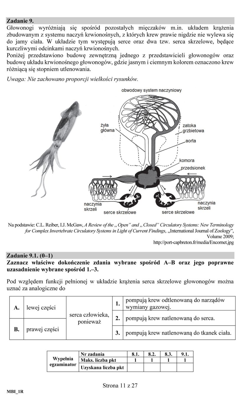 Matura 2018: Biologia. Odpowiedzi i Arkusze CKE. Biologia