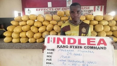 Illicit drugs seized from suspects. [Facebook:NDLEA]