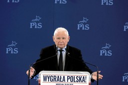kto po kaczyńskim szefem pis? jeden kandydat ma zdecydowaną przewagę