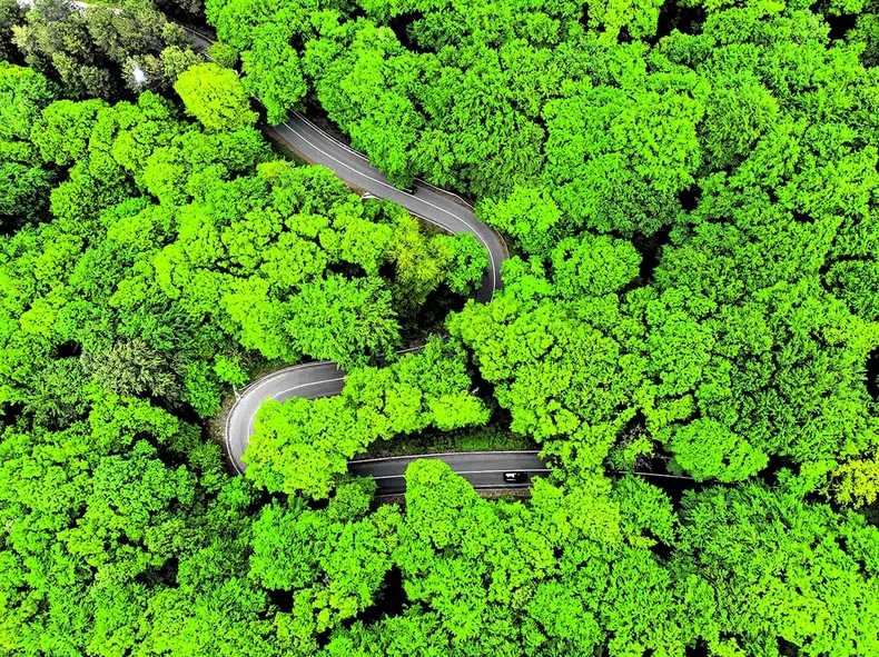 U šumama Fruške gore krije se 17 manastira i isto toliko vodopada: put Rakovac - Zmajevac