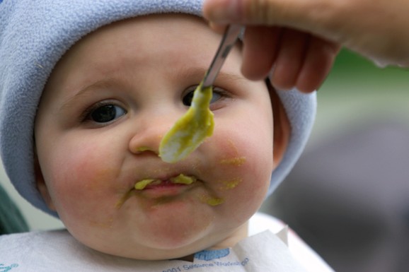 OTROV ZA PACOVE U KAŠICAMA ZA BEBE KOJE SE PRODAJU I U SRBIJI! Novi detalji velikog skandala, nije isključeno da je u pitanju NAMERNA KONTAMINACIJA