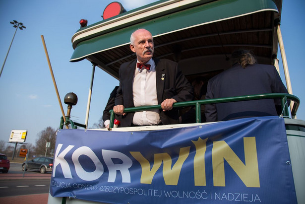 Korwin-Mikke proponuje lokalizację na pomnik ofiar katastrofy smoleńskiej