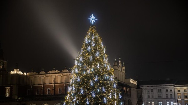 Choinka na Rynku będzie nawiązywać do ornamentów eksponowanych na wawelskich arrasach. Ozdobi ją 26 tys. światełek cyklicznie zmieniających barwę. Zawisną na niej sople imitujące topniejący lód i ponad tysiąc inkrustowanych baniek.