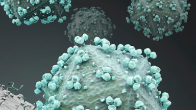 Dzięki przeszczepowi szpiku u dwóch mężczyzn prawdopodobnie wyeliminowano wirusa HIV