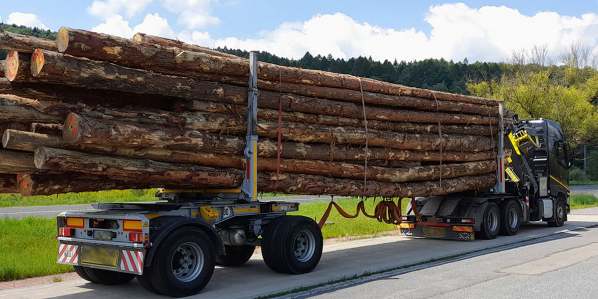 Kierowca ciężarówki przewożący drewno otrzymał mandat w wysokości 30 tysięcy złotych!