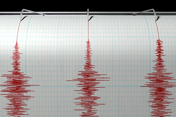 493493_mirocerar-ap2