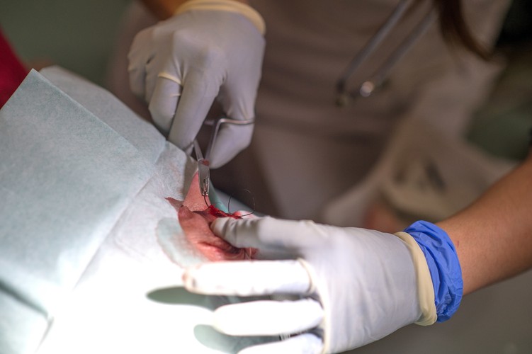 ŁÓDŹ. UDZIELANIE POMOCY PO ZABAWIE SYLWESTROWEJ