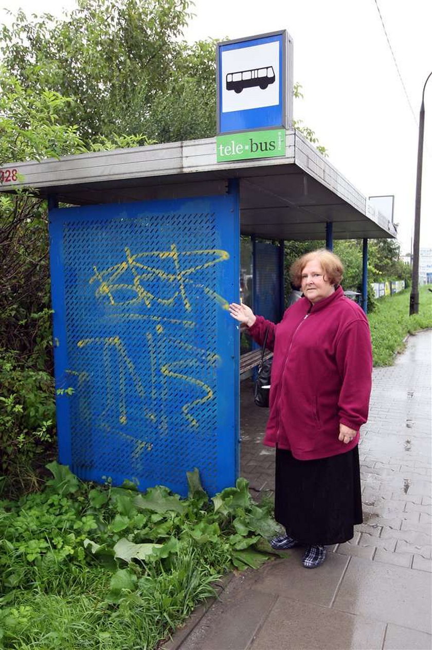 W Krakowie postawiono ładny przystanek