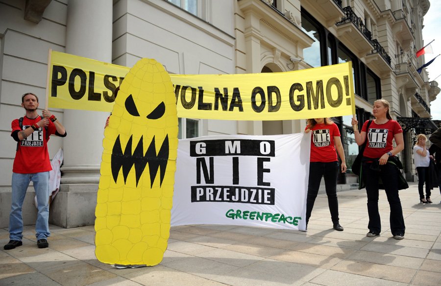 Protest przeciwko uprawom GMO w Polsce