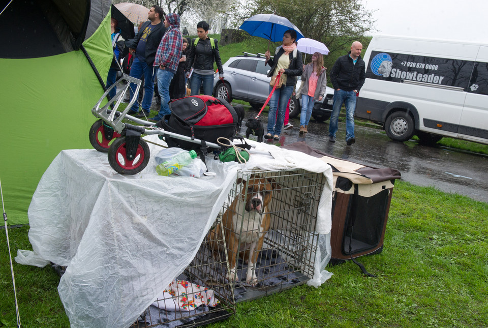 ŁÓDŹ WYSTAWA PSÓW RASOWYCH