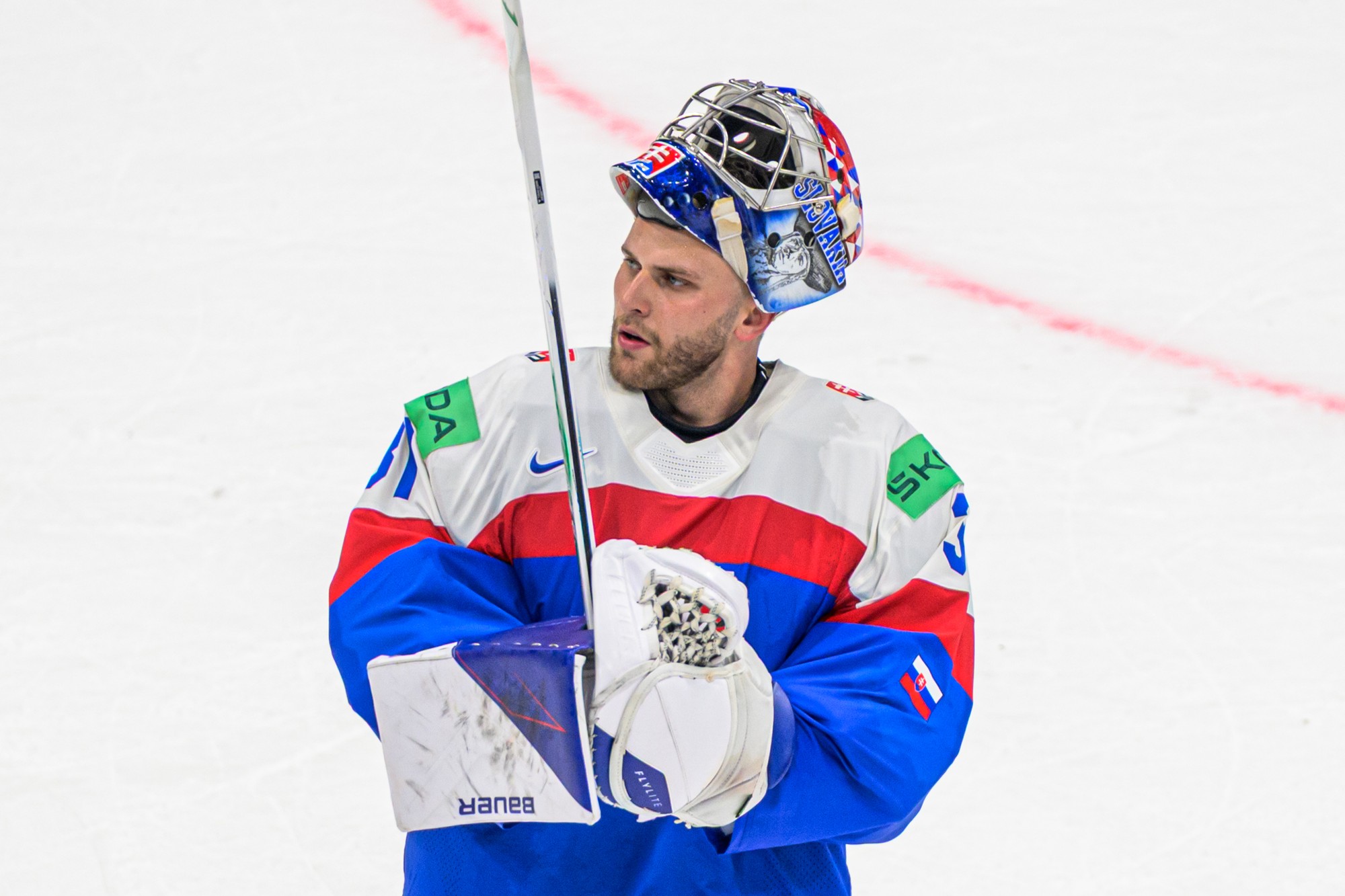 Slovenský brankár Samuel Hlavaj. 