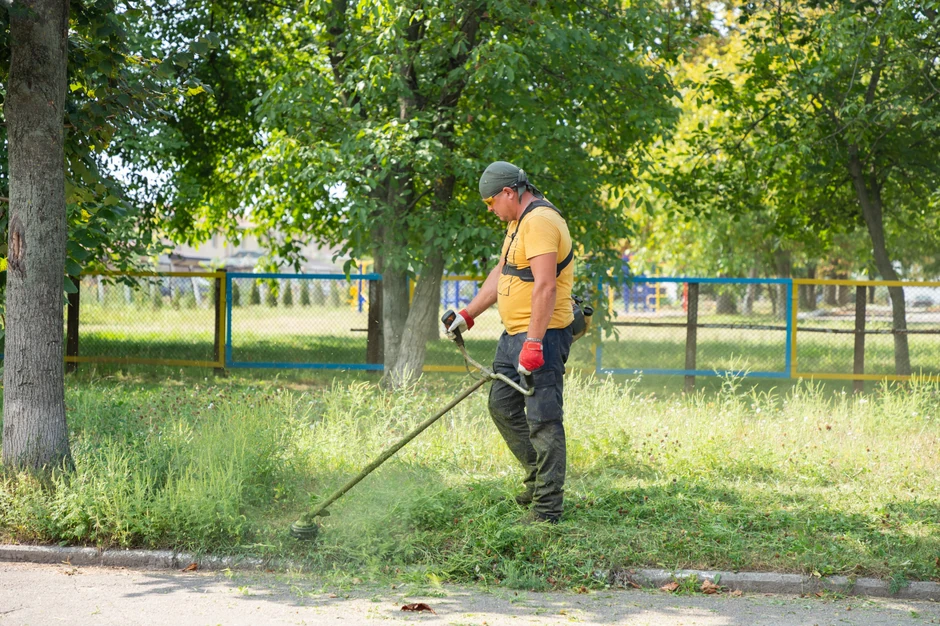 Pojedinačne biljke treba čupati s korenom, a veće površine kositi pre cvetanja. Na poljoprivrednim površinama treba je suzbijati kombinacijom agrotehničkih mera i herbicida 